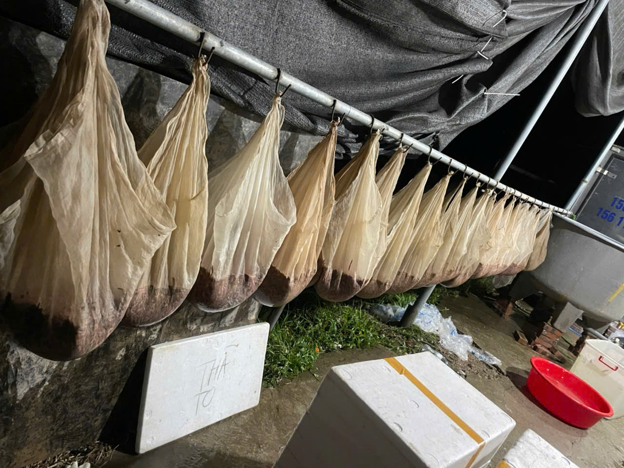 c3dbcee67d41ce1f9750