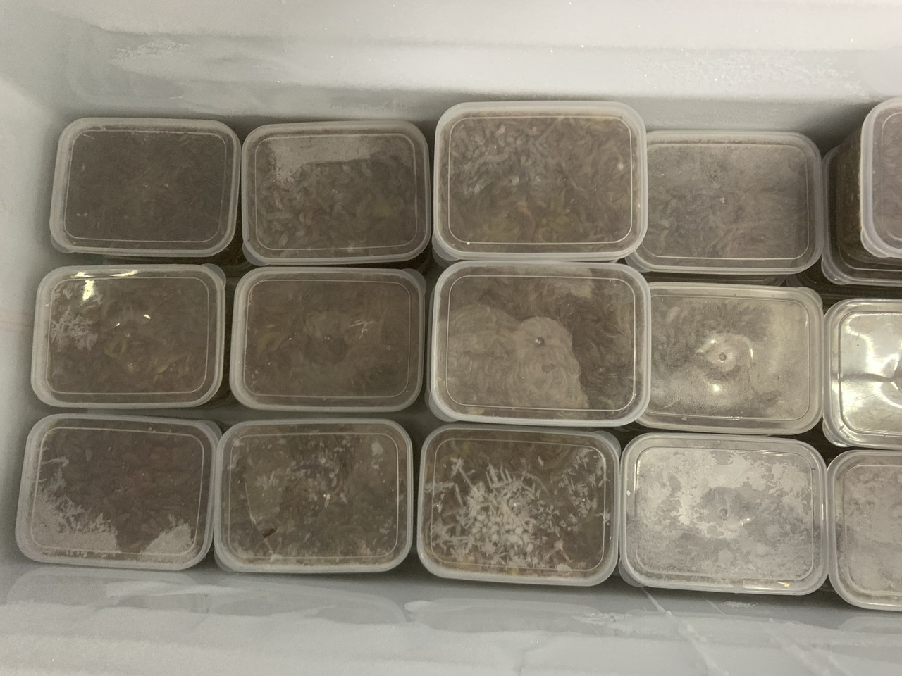 da7e29ae9f092c577518